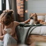 Pet Food Trends in 2026: What’s Changing in the Pet Nutrition World?