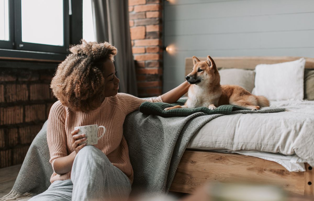 Pet Food Trends in 2026: What’s Changing in the Pet Nutrition World?